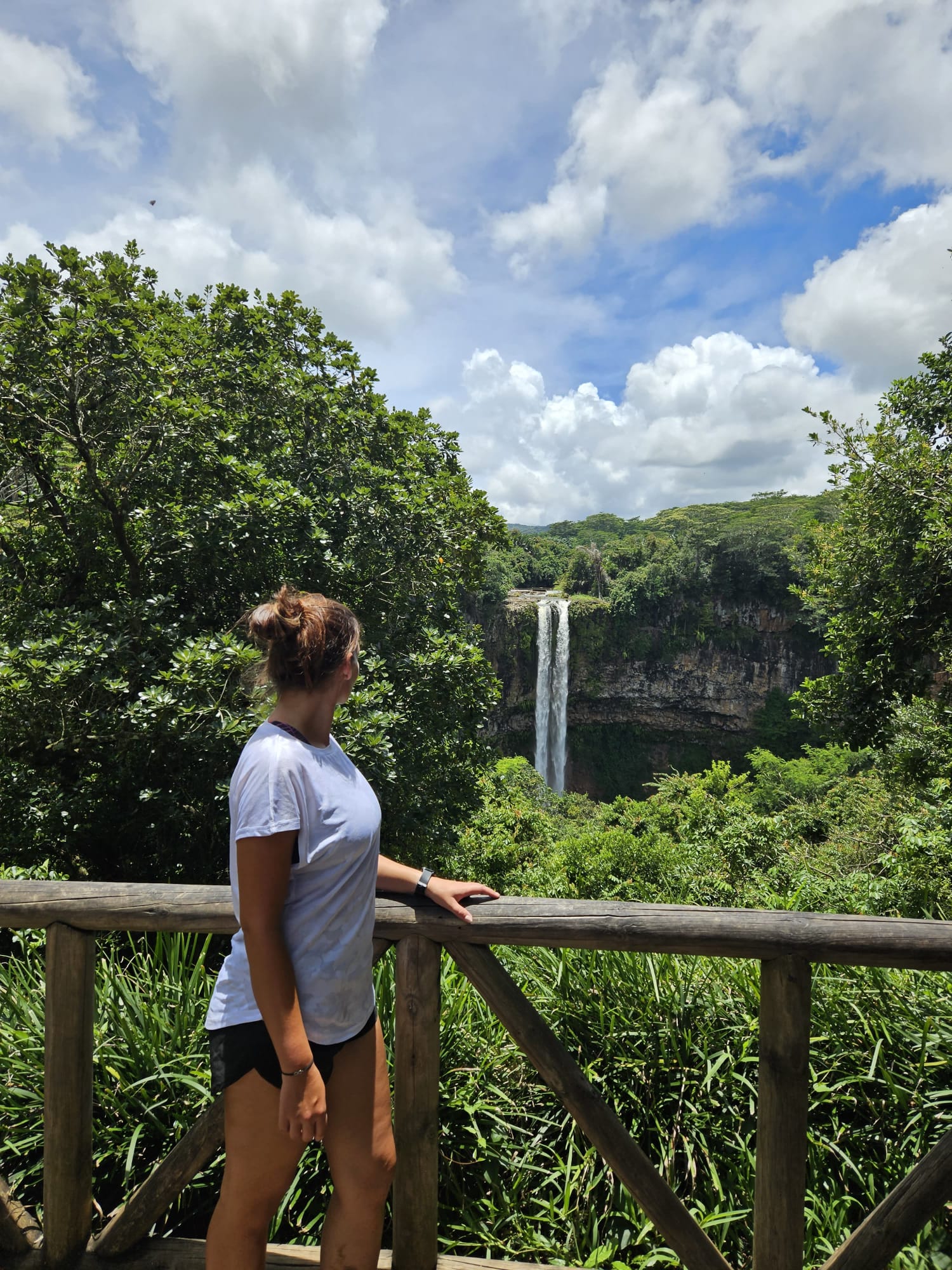 Der Chamarel-Wasserfall von der Aussichtsplattform aus.